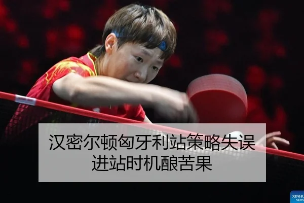汉密尔顿匈牙利站策略失误 进站时机酿苦果